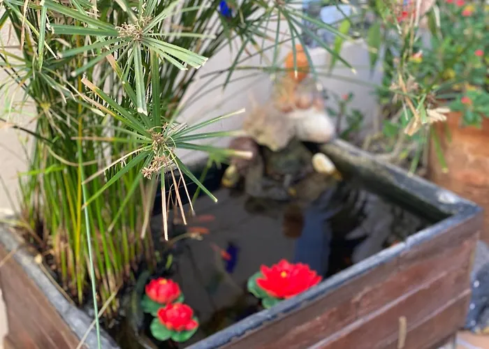 Casa Tesalia 別荘 グイマー