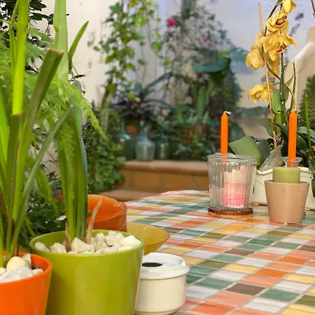 Casa Tesalia 기마르