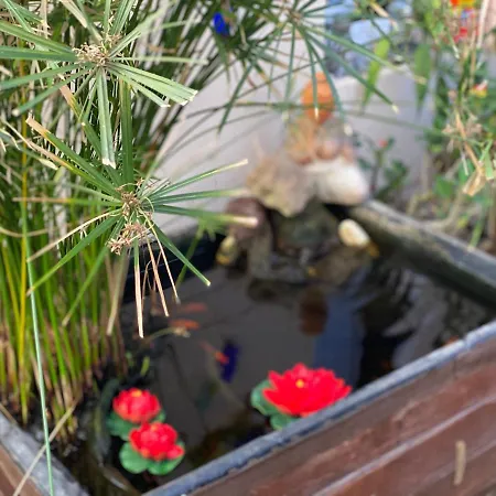 Casa Tesalia 펜션 기마르