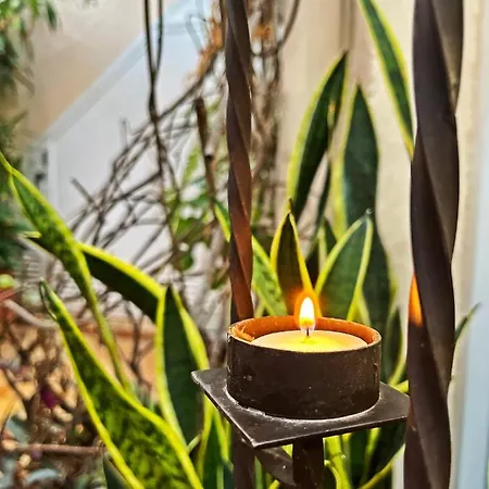 Dom wakacyjny Casa Tesalia *