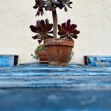 Casa Tesalia Holiday home *