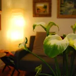 Casa Tesalia * Güímar