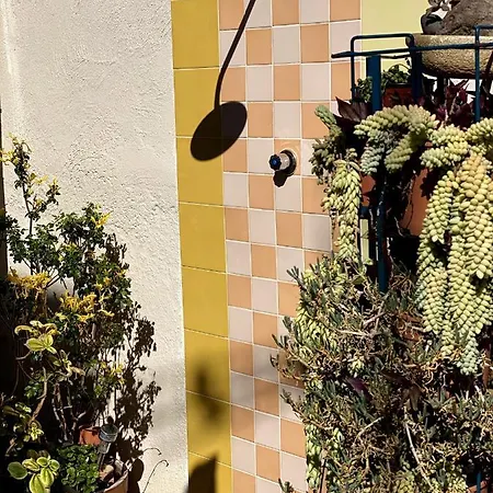 Casa Tesalia Güimar