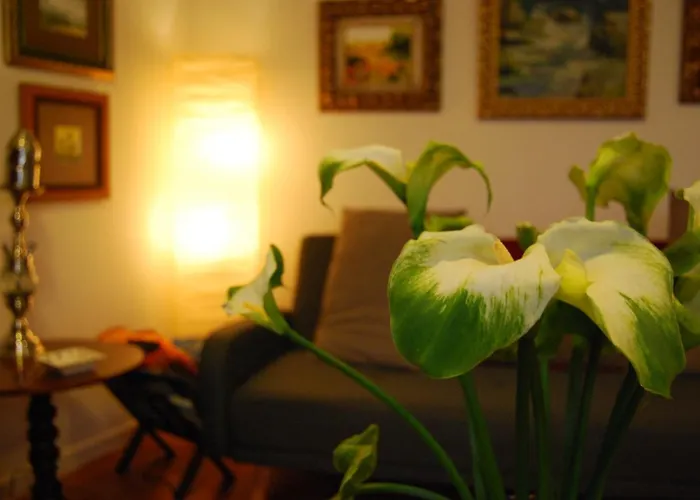 Casa Tesalia * 기마르