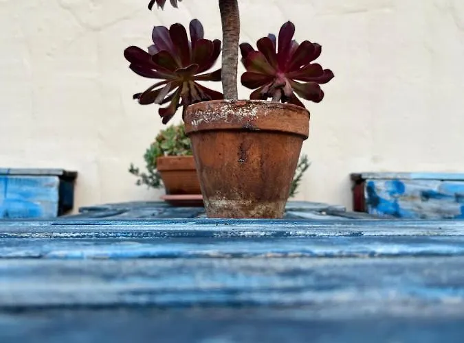 Casa Tesalia 度假居 *