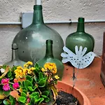 Ferienhaus Casa Tesalia Güimar
